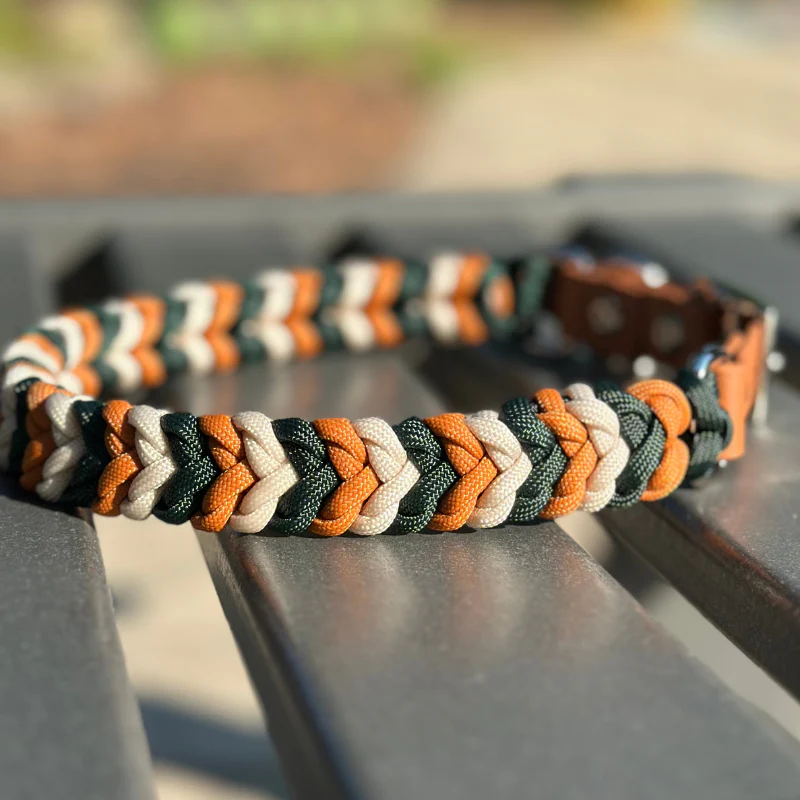 Coiled Charm Hand Braided Dog Collar in Hunter Green, Mustard, & Cream - Image 3