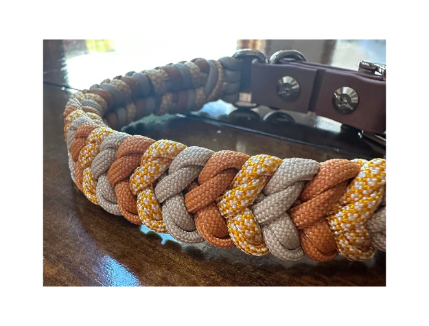 Coiled Charm Hand Braided Dog Collar in Mustard, Goldenrod, & Light Tan - Image 3