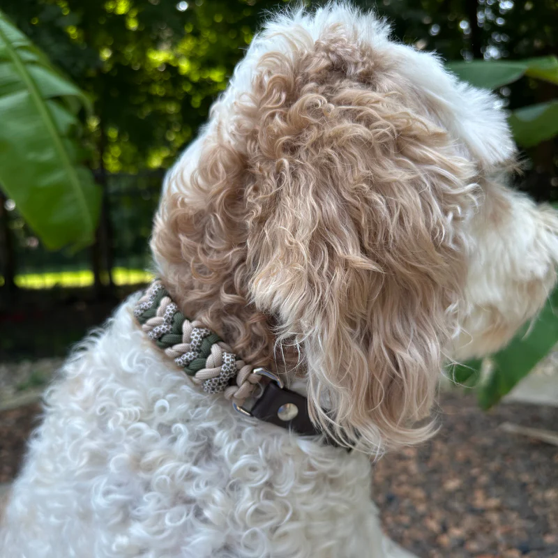 Coiled Charm Hand Braided Dog Collar in Olive, Light Tan, & Coyote Brown Diamonds - Image 12