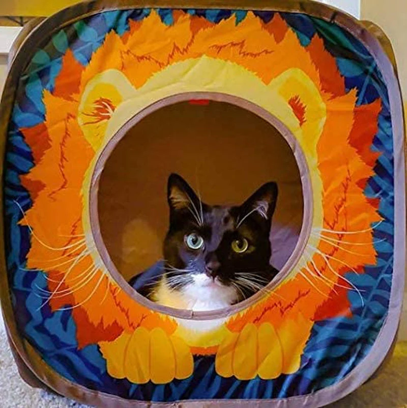 Collapsible Cat Cube - Image 5