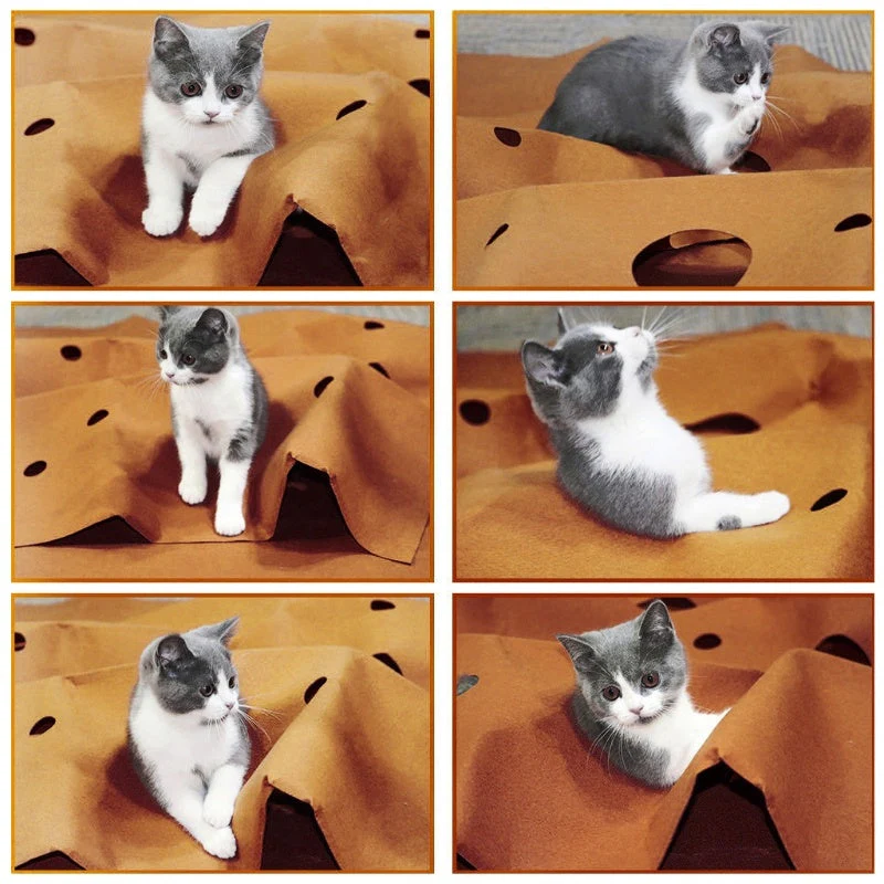 Collapsible Cat Playing Mat - Image 3