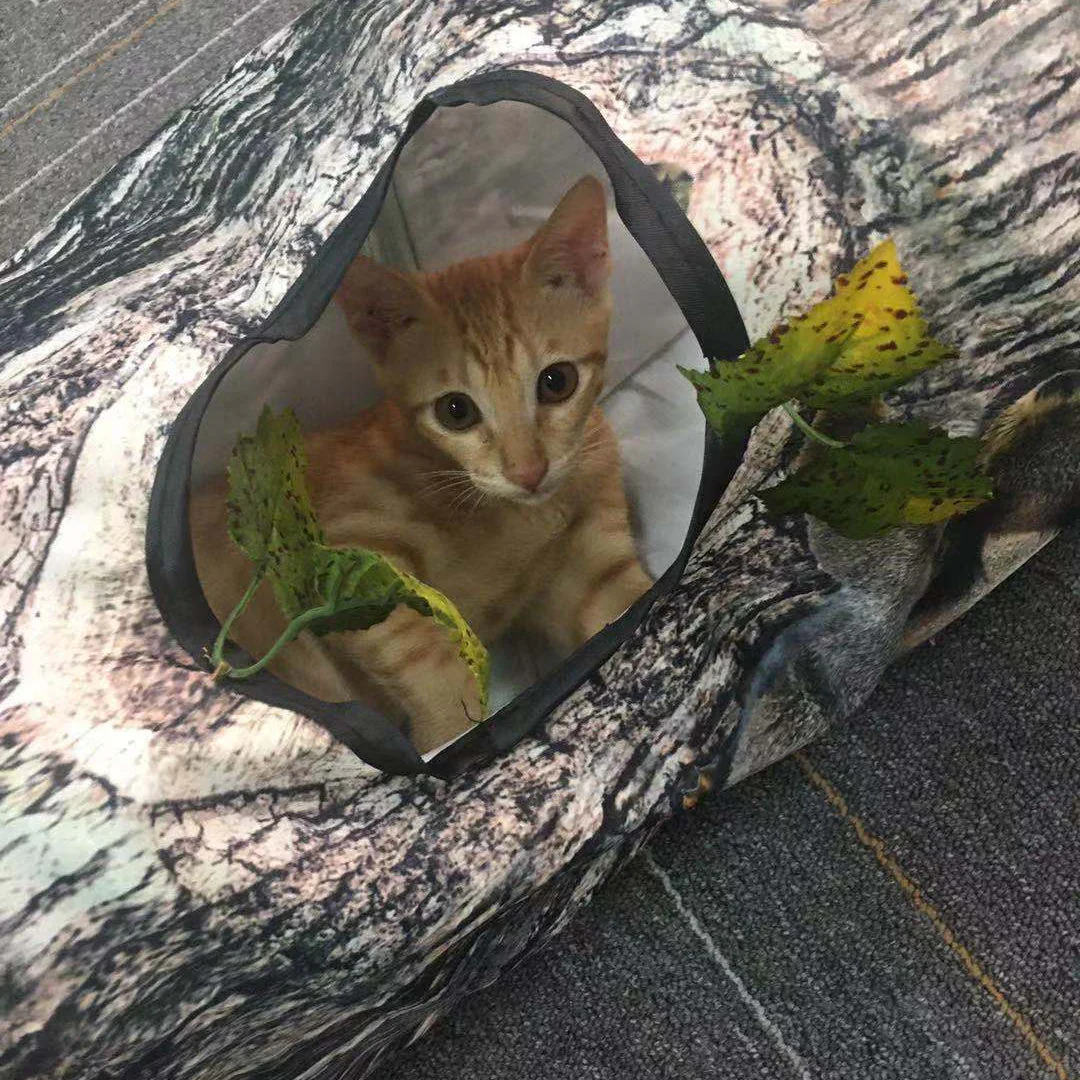 Collapsible Tunnel 4 Way Pet Tunnel - Image 3