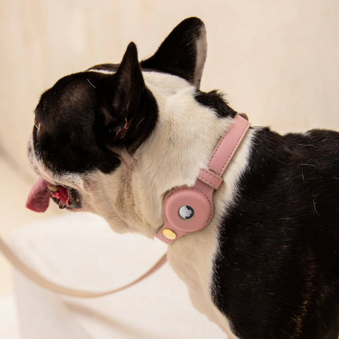 Collar - Air Tag Enabled - Vegan Leather - Cupertino - Image 12