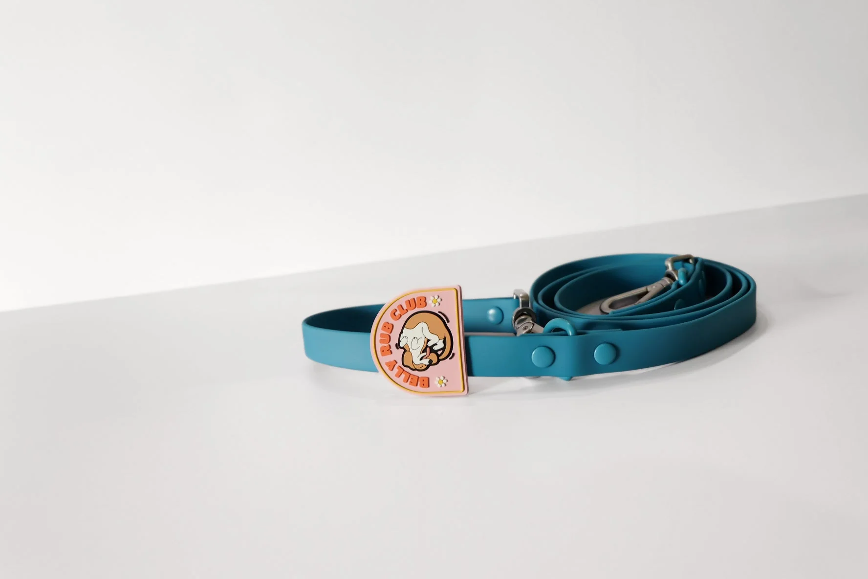 Collar & Leash Tabs - Image 9