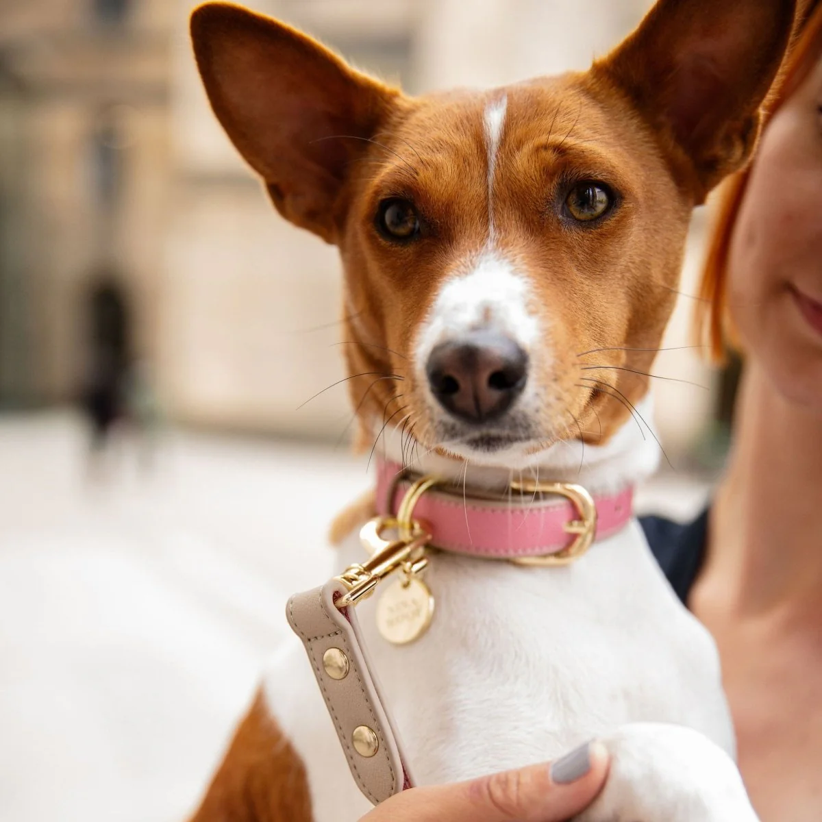 Collar - Vegan Leather - Image 18