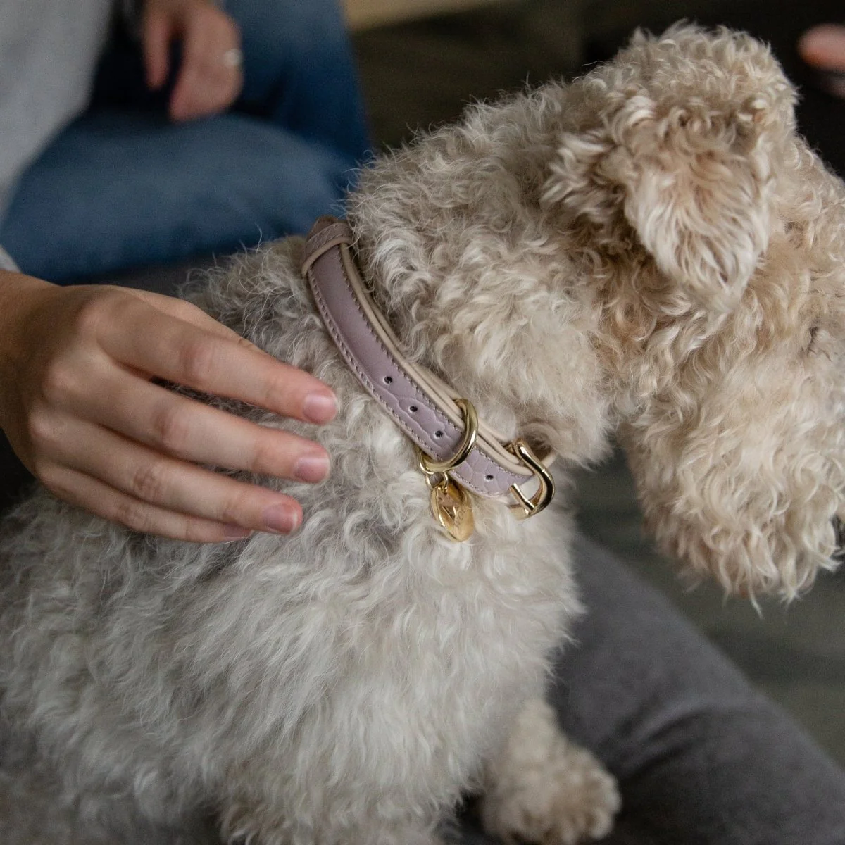 Collar - Vegan Leather - Image 7