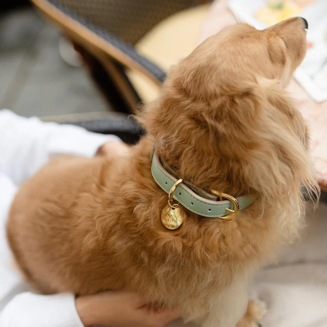 Collar - Vegan Leather - Copenhagen - Image 14