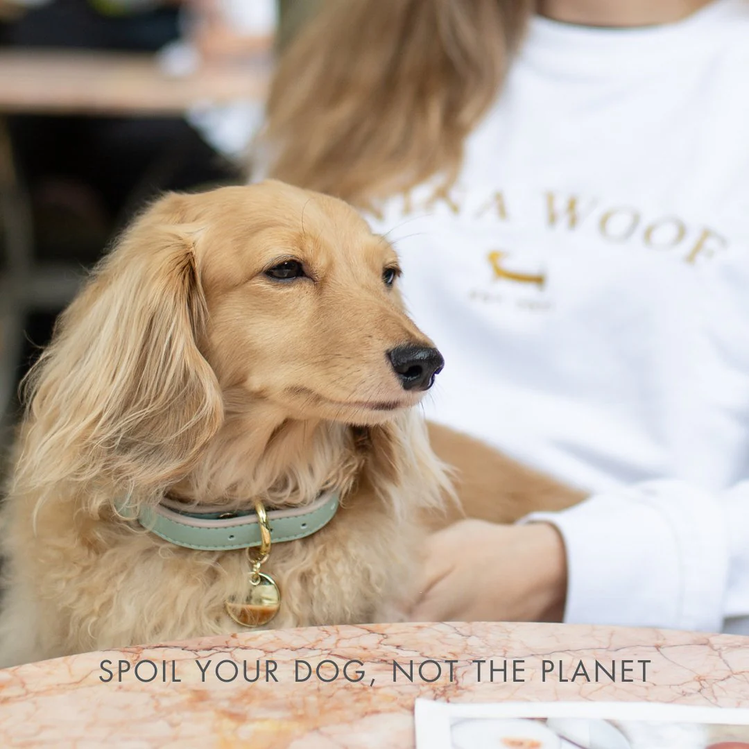 Collar - Vegan Leather - Copenhagen - Image 15