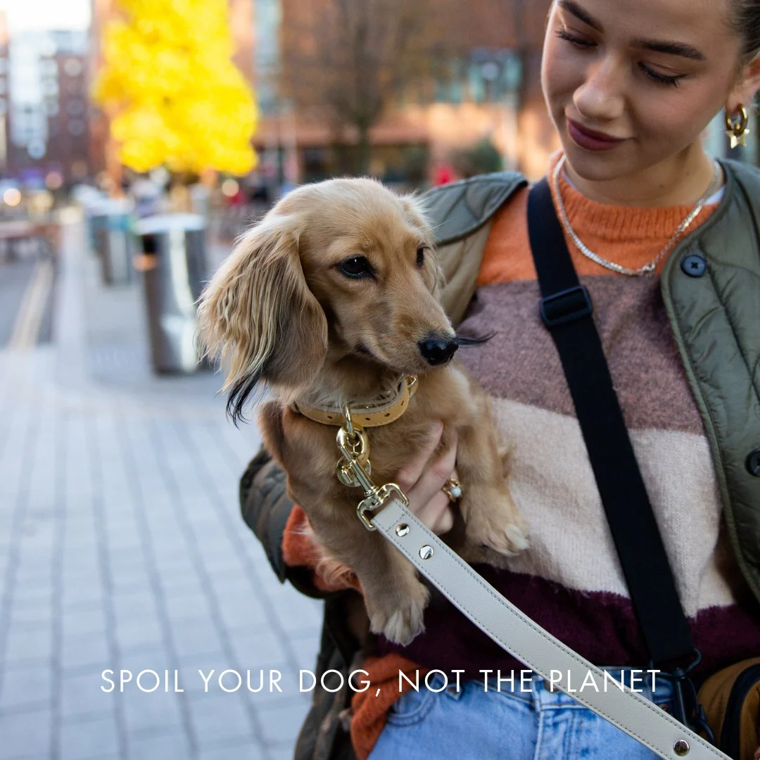 Collar - Vegan Leather - Copenhagen - Image 19