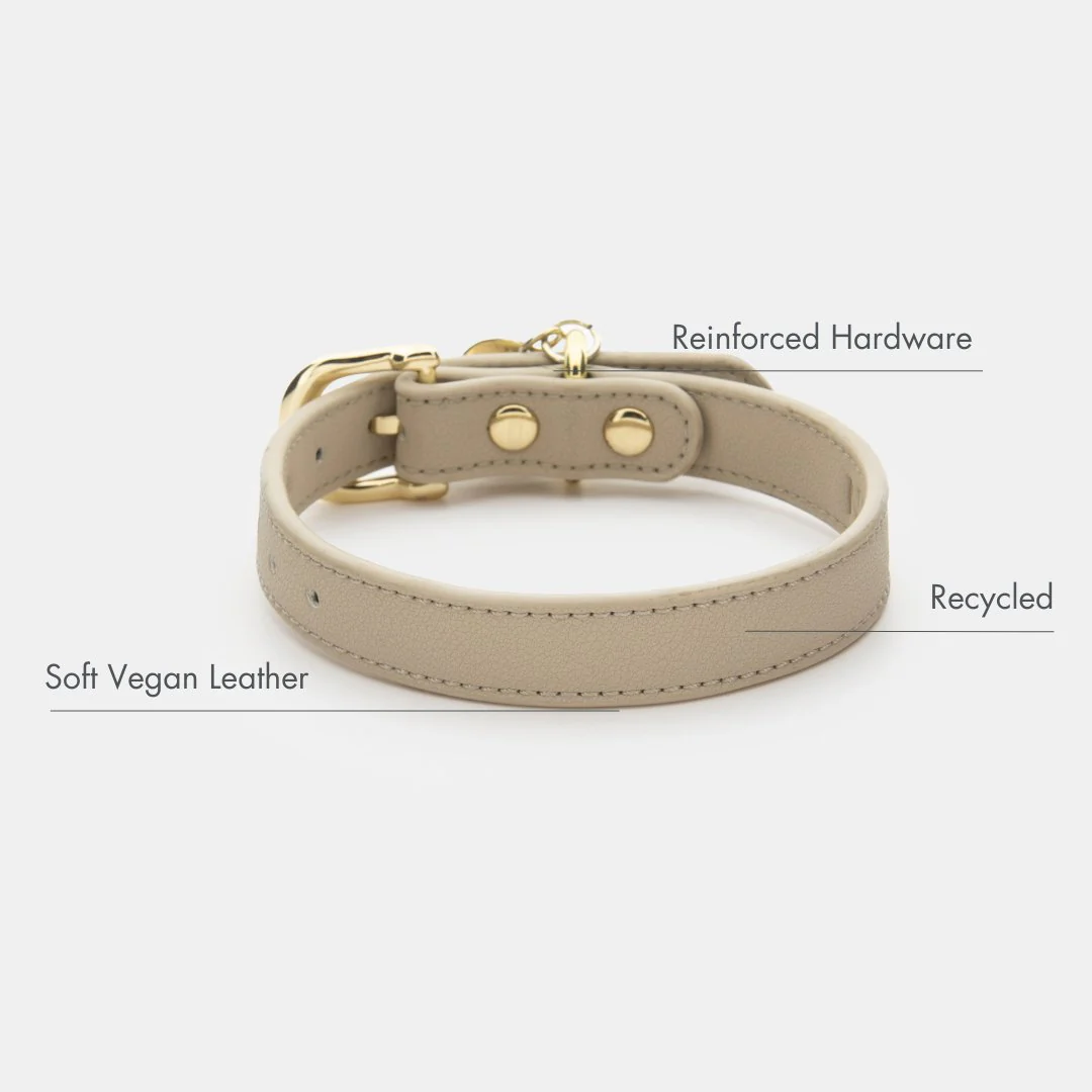 Collar - Vegan Leather - Copenhagen - Image 2