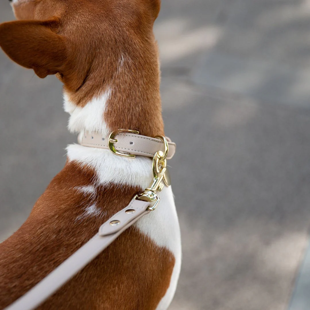 Collar - Vegan Leather - Copenhagen - Image 5