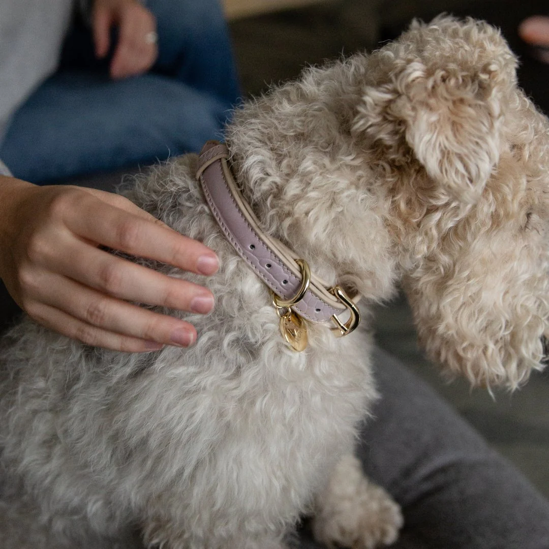 Collar - Vegan Leather - Milan - Image 12