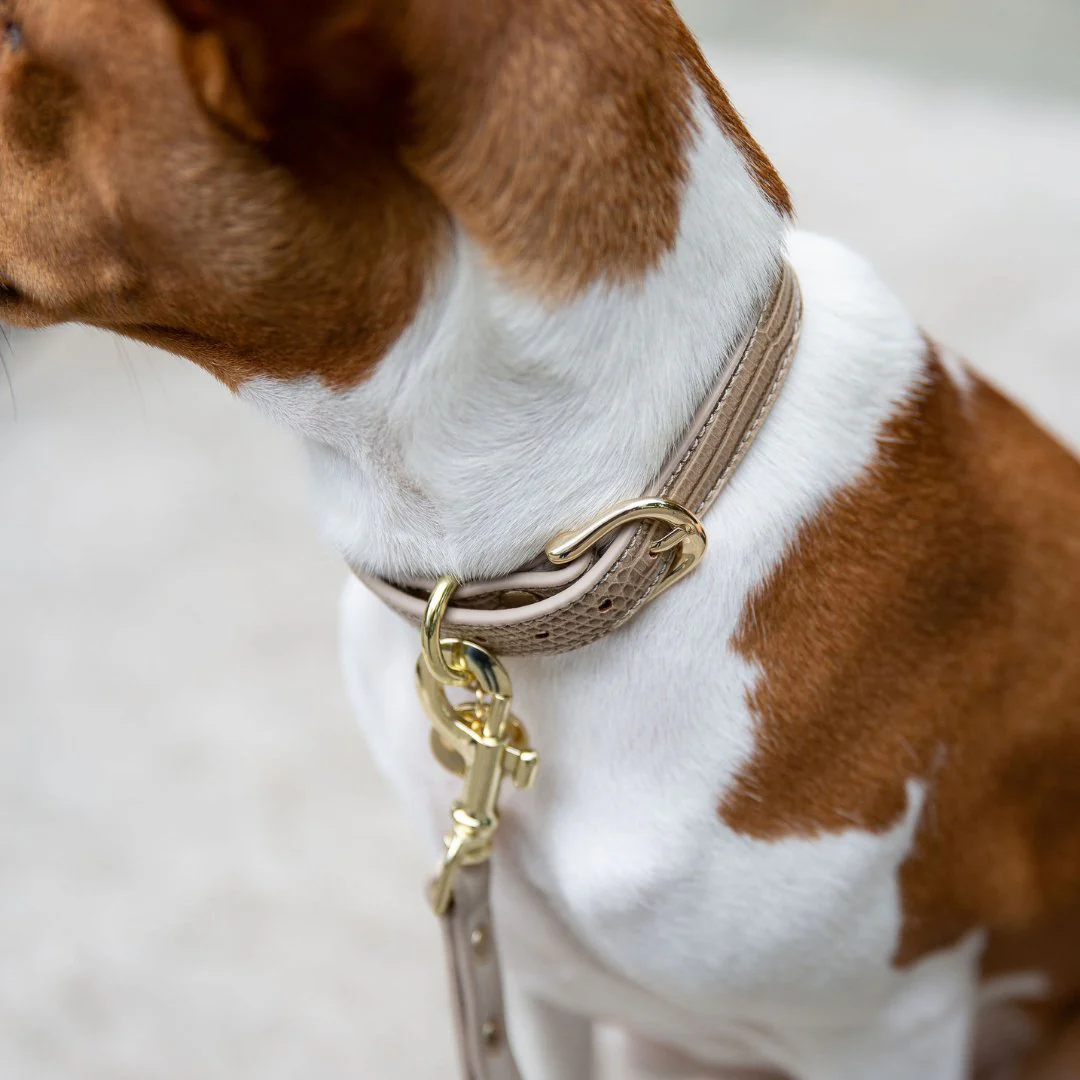 Collar - Vegan Leather - Milan - Image 5