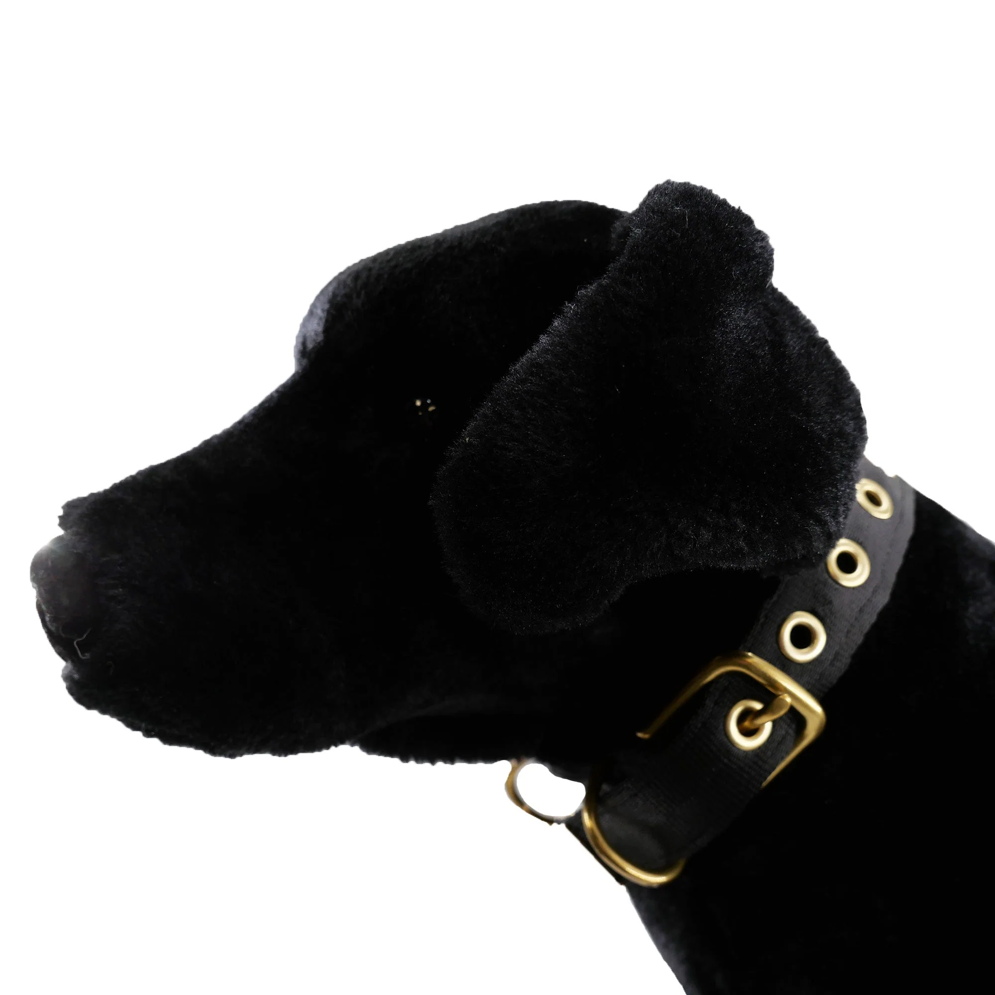 Collars Seatbelt - Image 10