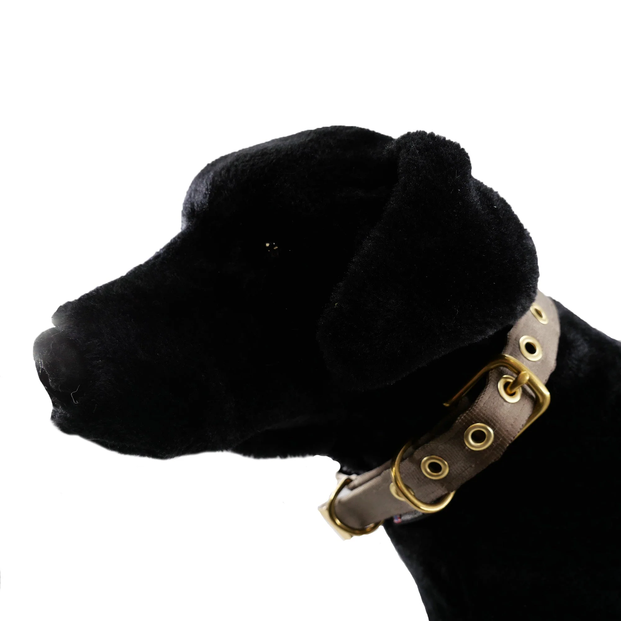 Collars Seatbelt - Image 13