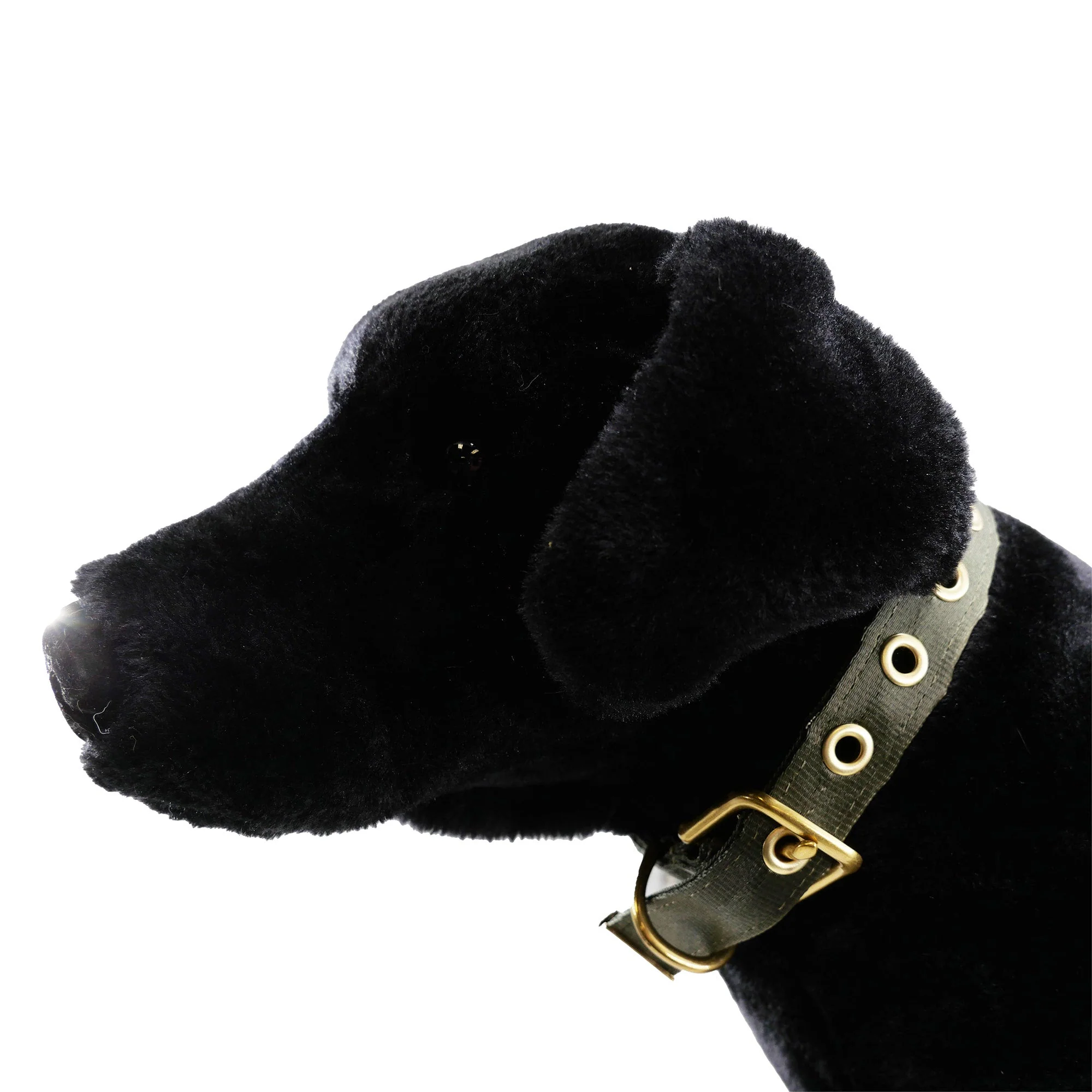 Collars Seatbelt - Image 16