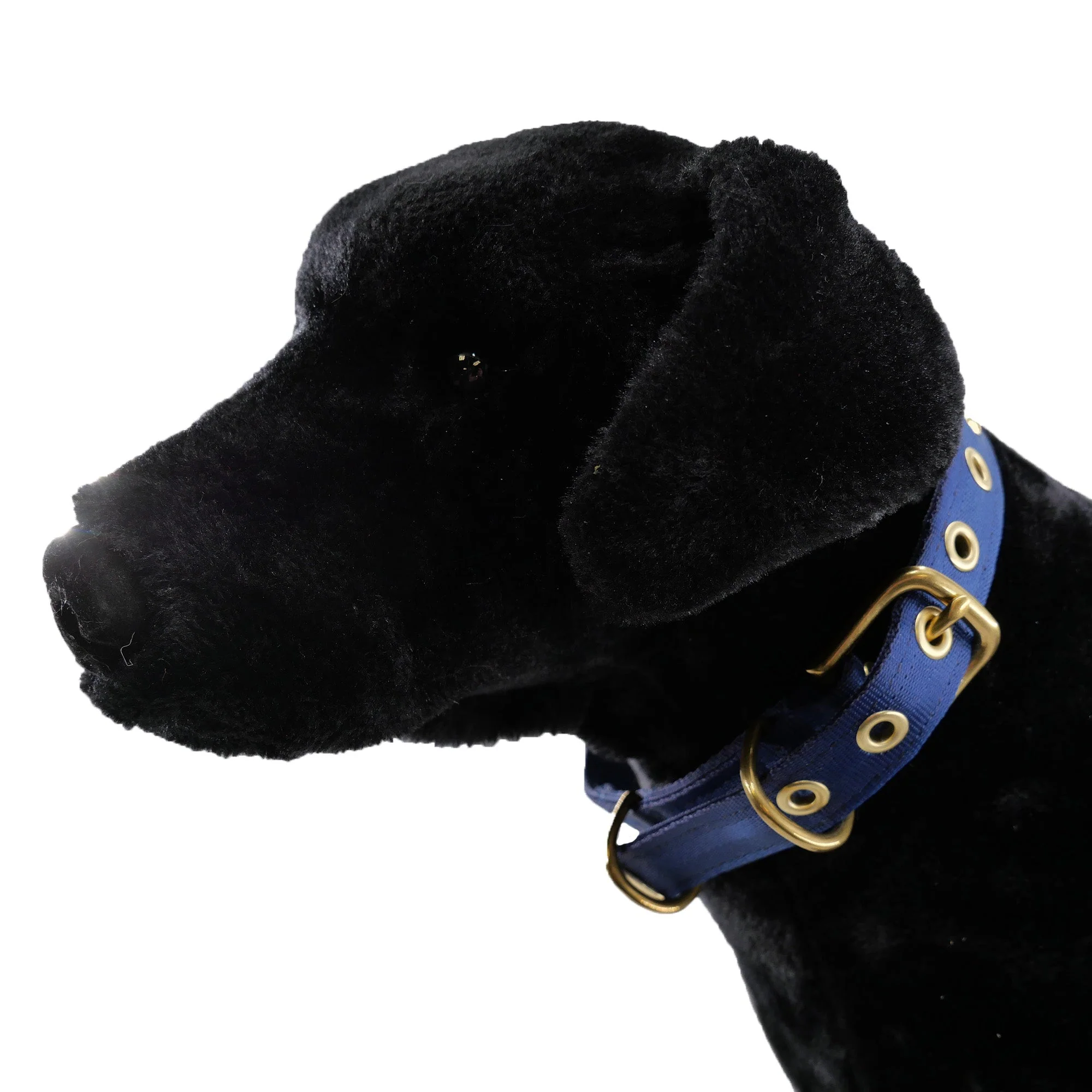 Collars Seatbelt - Image 2