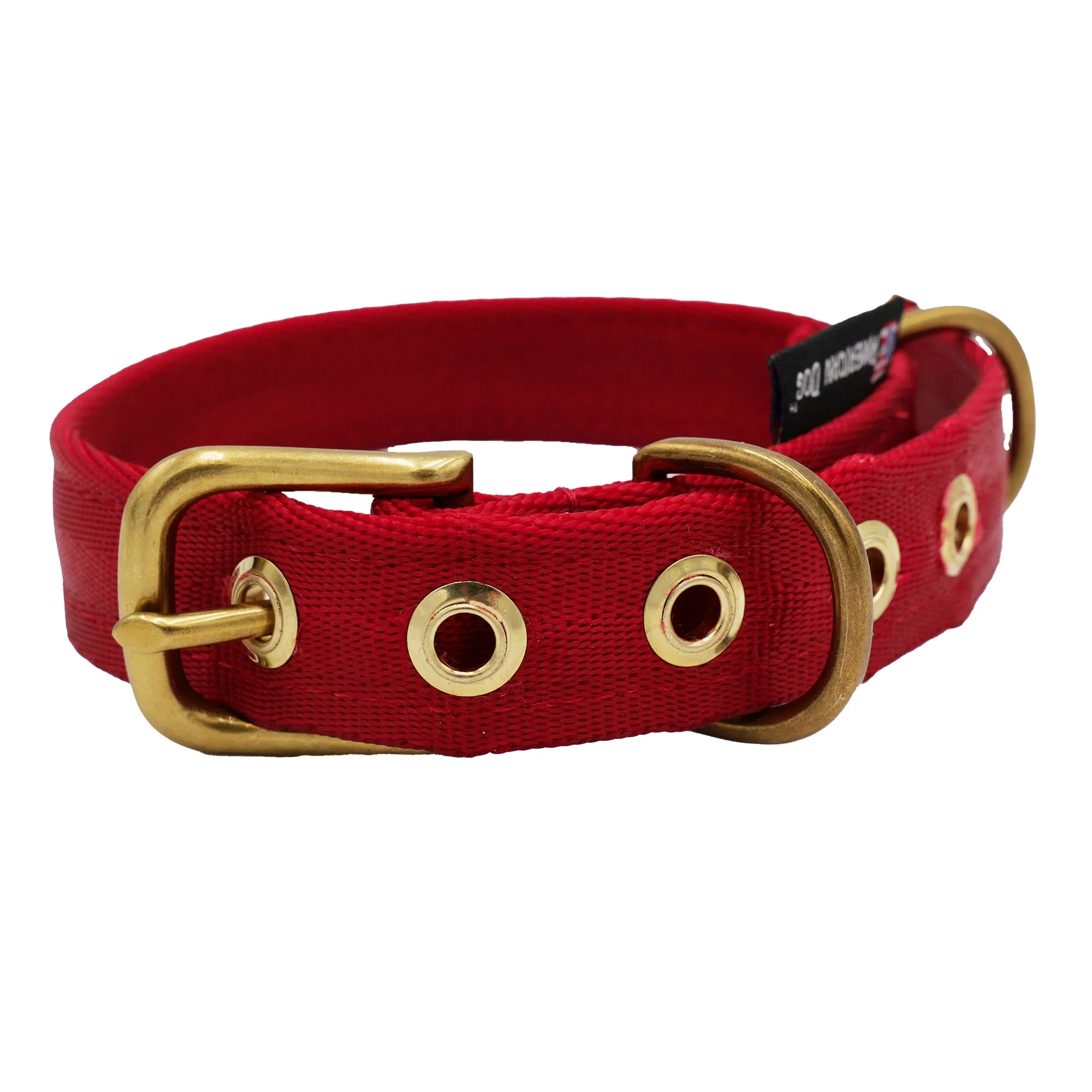 Collars Seatbelt - Image 5