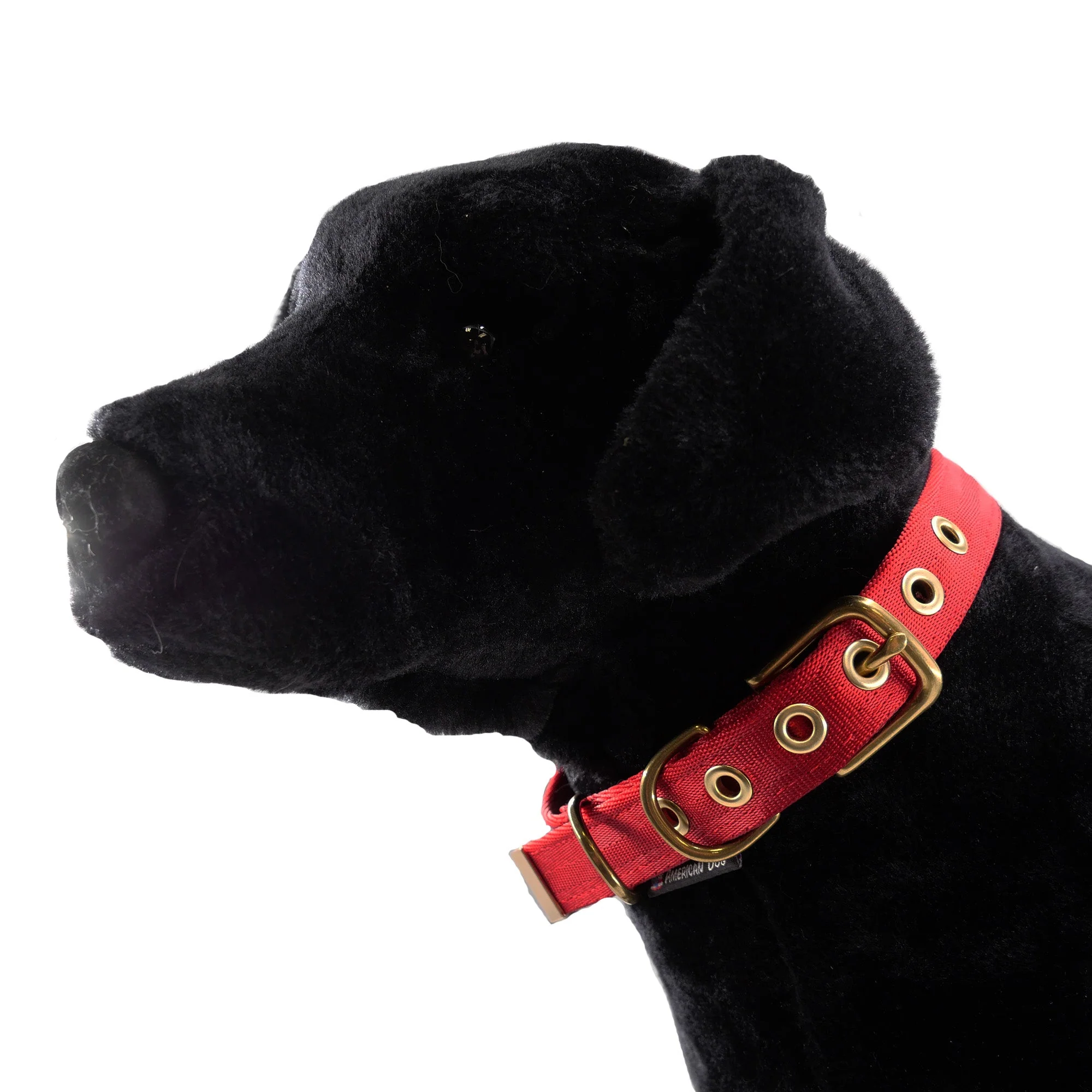 Collars Seatbelt - Image 7