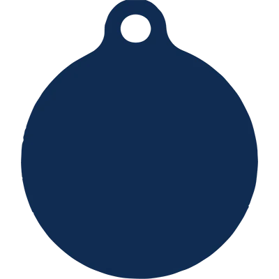 Colonial Stars HD Dog ID Tag - Image 4