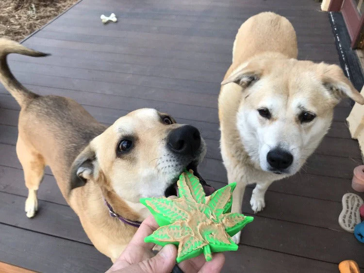 Colorado Maple Leaf Nylon Dog Chew Toy for Aggressive Chewers | USA Made - Image 5