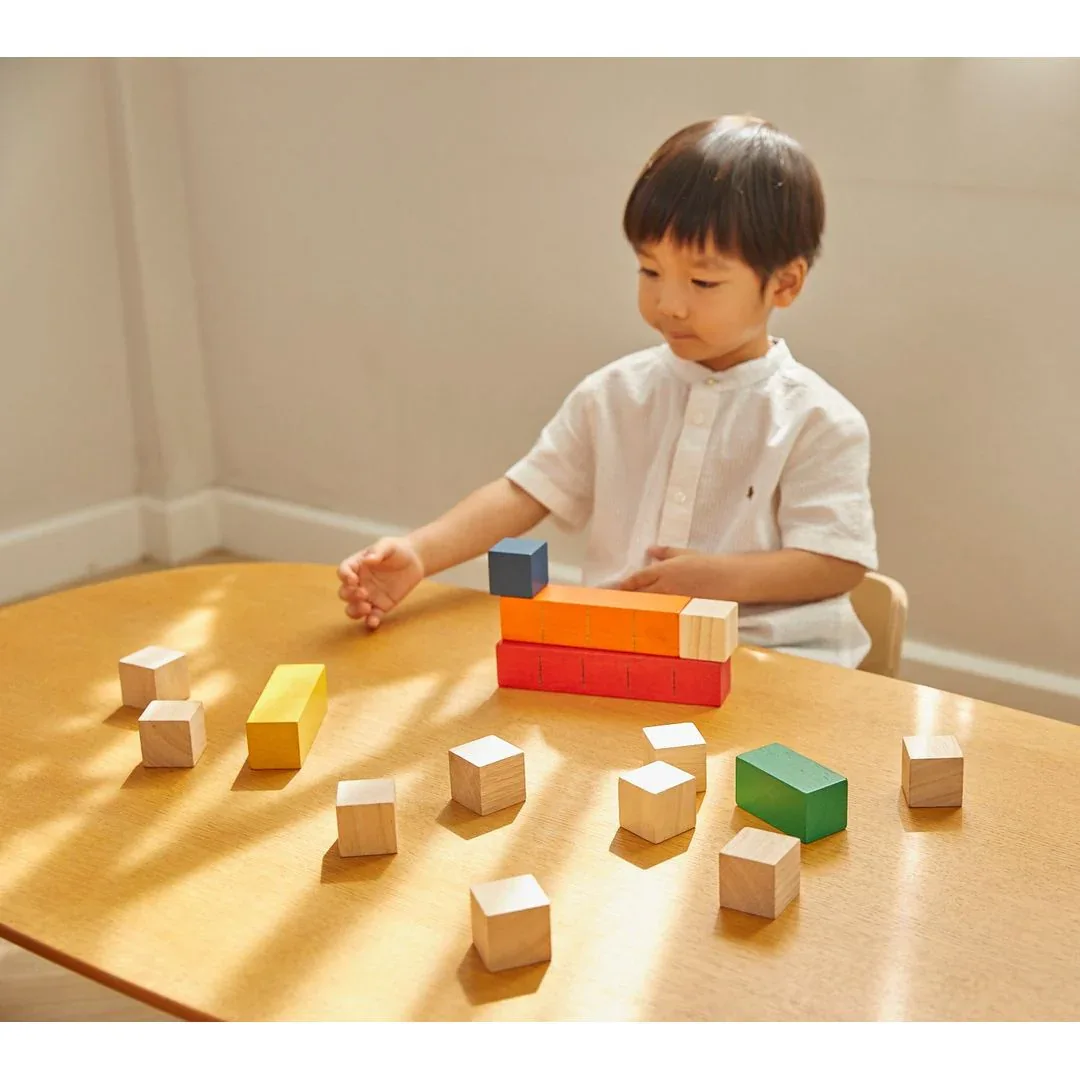 Colored Counting Blocks - Unit Plus - Image 3