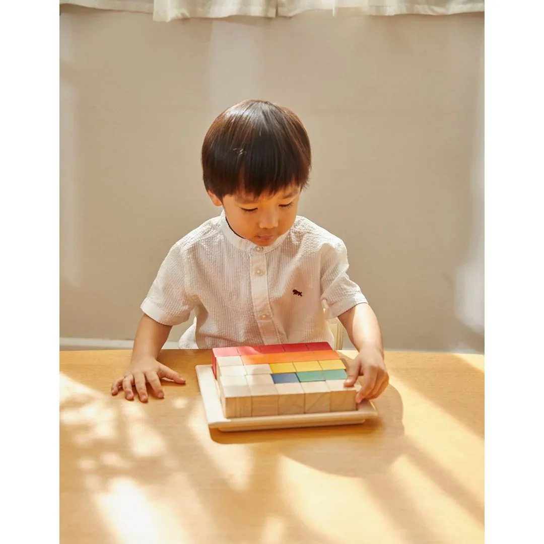 Colored Counting Blocks - Unit Plus - Image 5