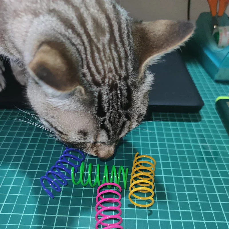 Colorful Cat Spring Toys – Durable Coil Play for Kittens - Image 10