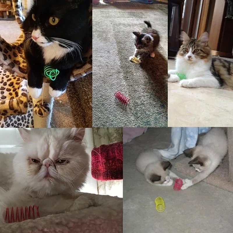 Colorful Cat Spring Toys – Durable Coil Play for Kittens - Image 6