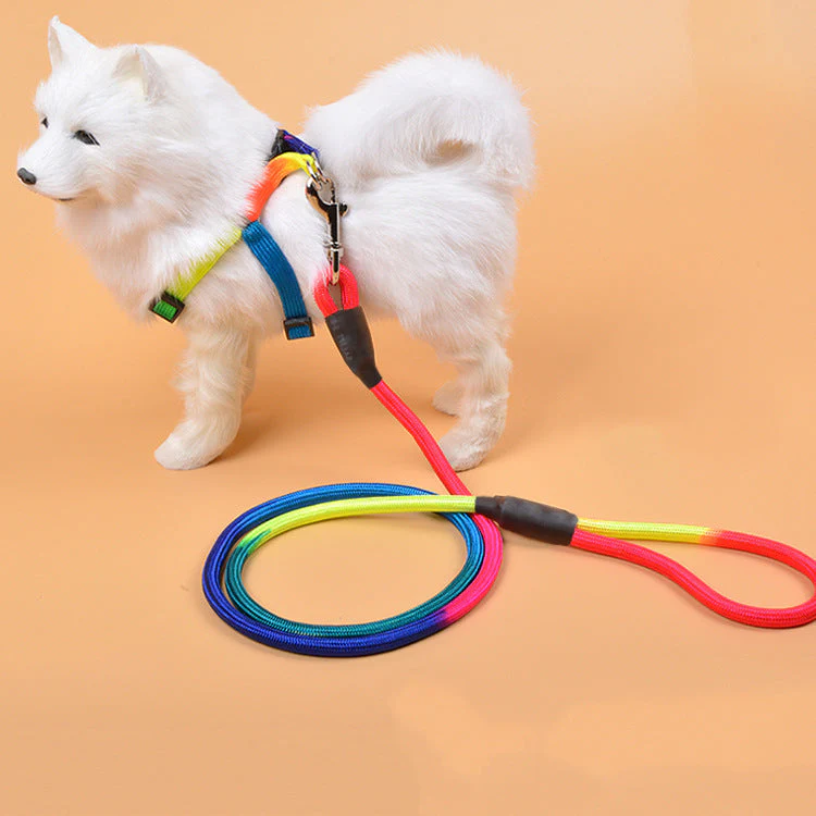 Colorful Nylon Round Hand Holding Dog Leash - Image 2