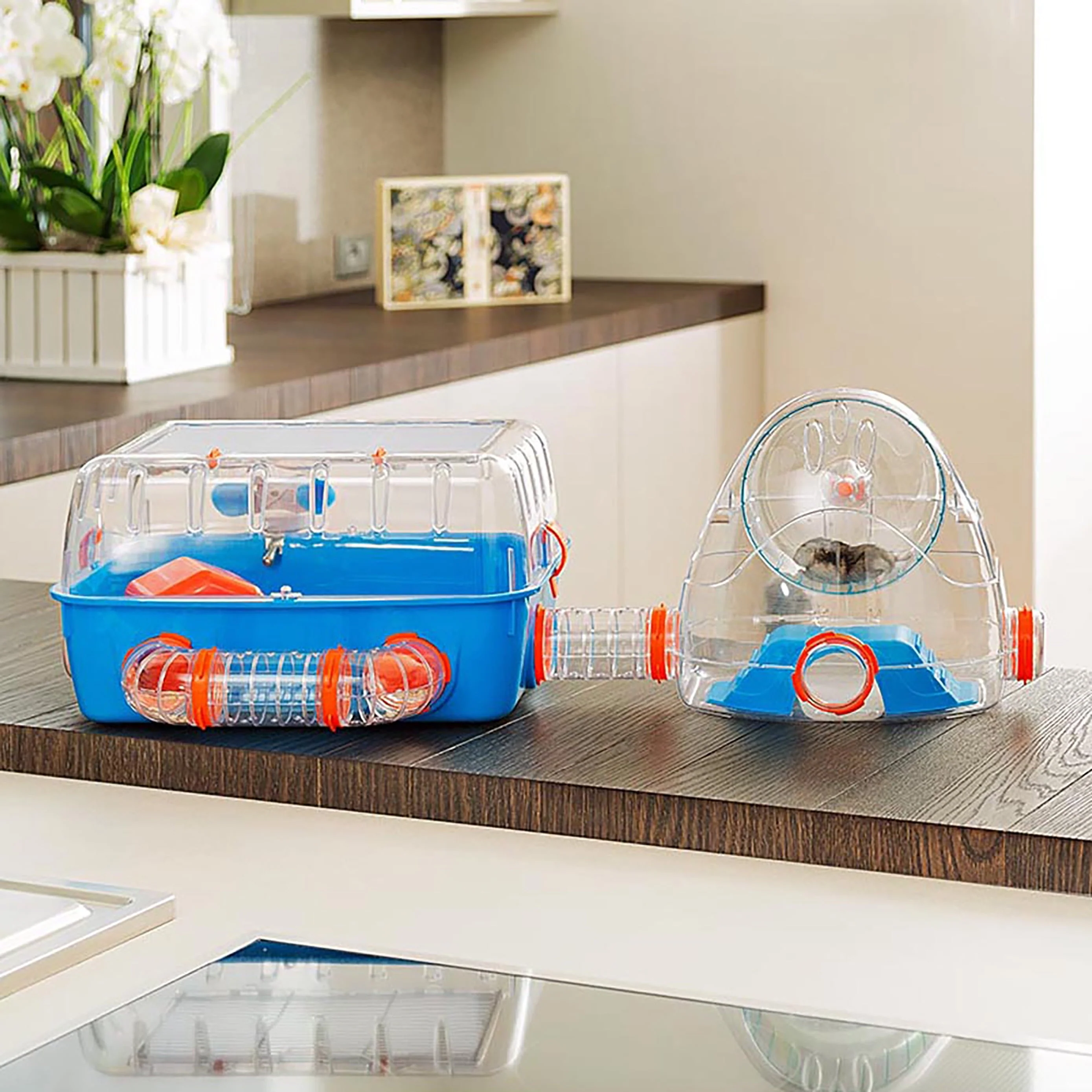 Combi 2 Starter Hamster Cage | Includes Accessories | 31.3L X 11.61W X 10.35H Inches, Blue - Image 2