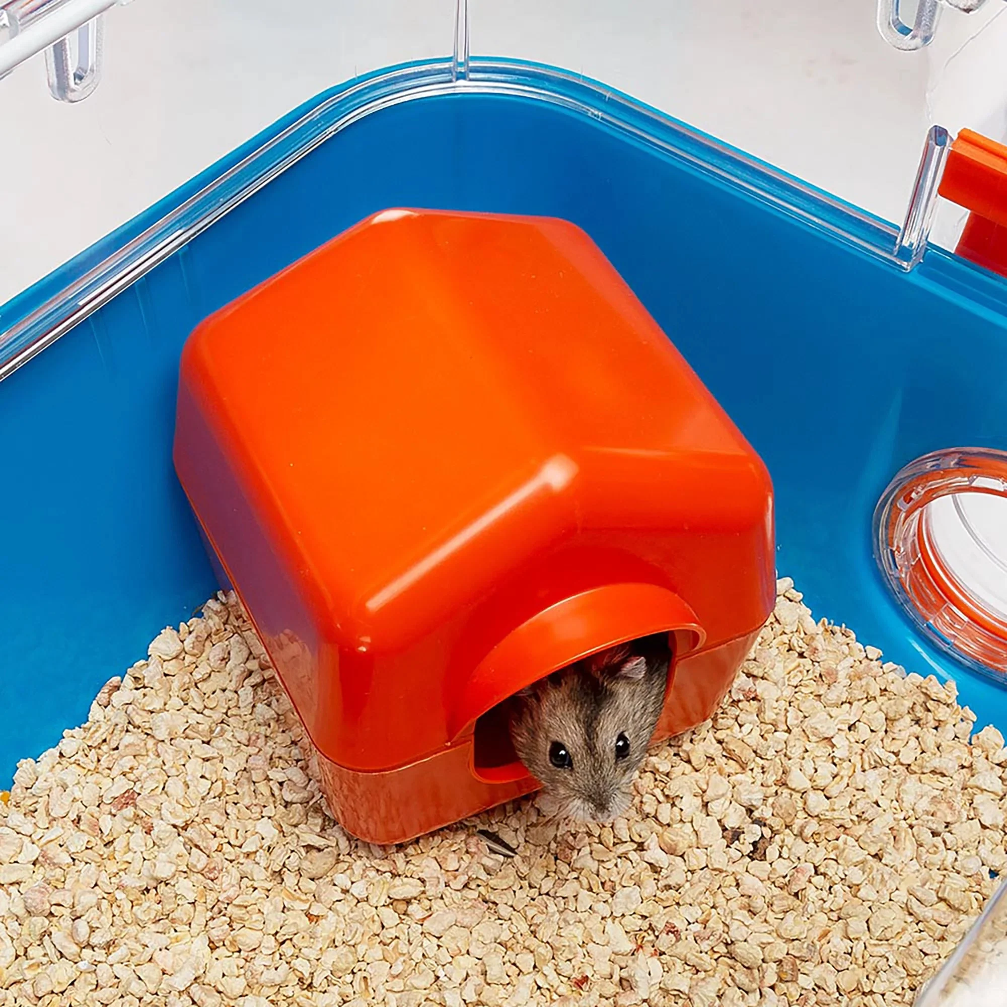 Combi 2 Starter Hamster Cage | Includes Accessories | 31.3L X 11.61W X 10.35H Inches, Blue - Image 4