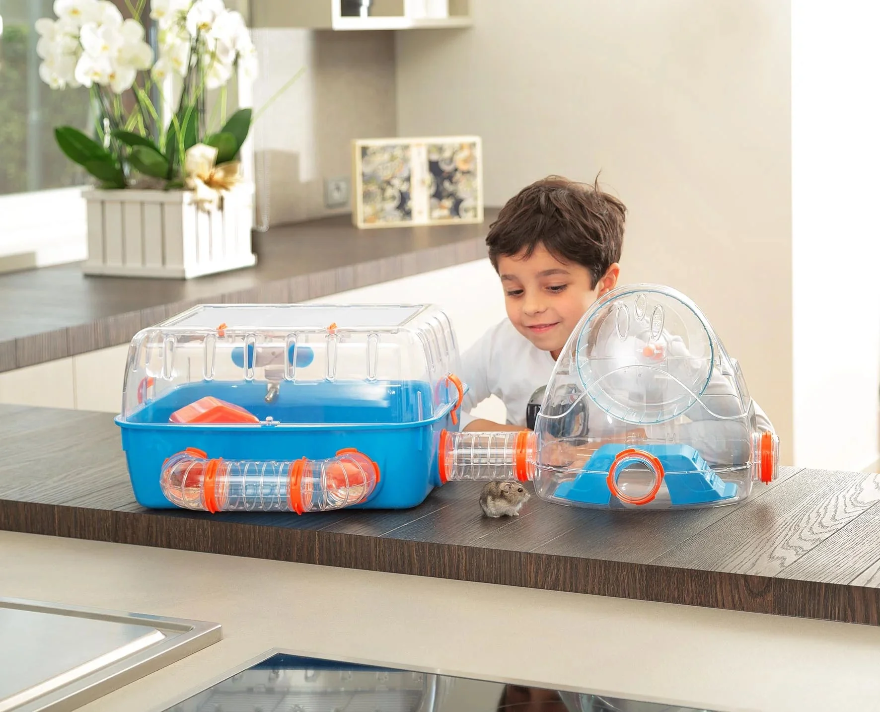 Combi 2 Starter Hamster Cage | Includes Accessories | 31.3L X 11.61W X 10.35H Inches, Blue - Image 8