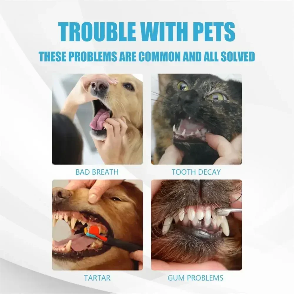 Complete Pet Toothbrush And Toothpaste Kit - Image 11