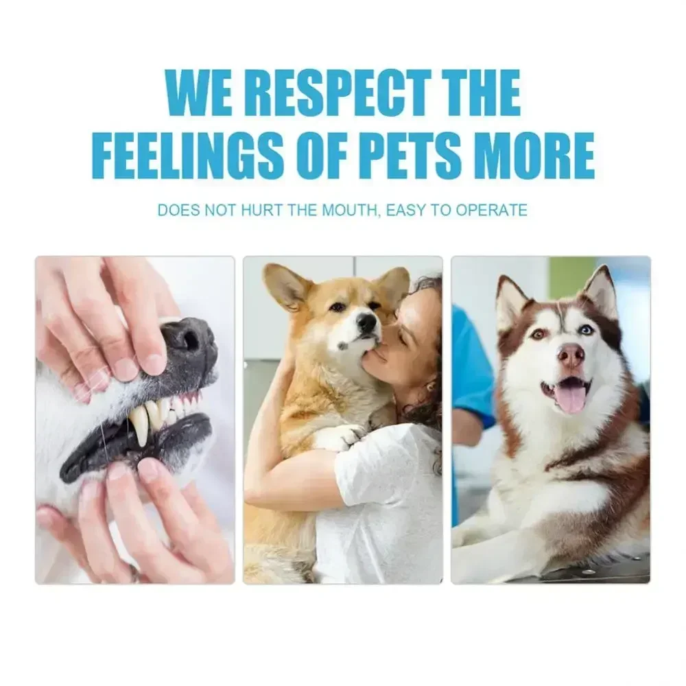 Complete Pet Toothbrush And Toothpaste Kit - Image 13