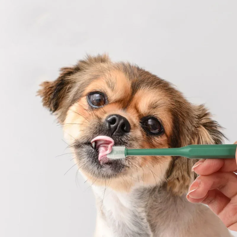 Complete Pet Toothbrush And Toothpaste Kit - Image 2