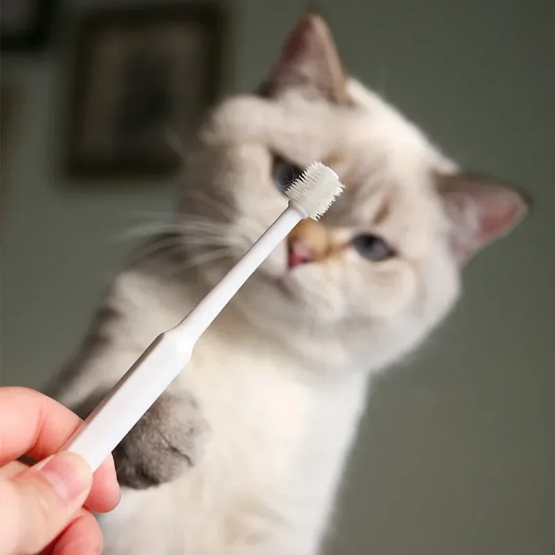Complete Pet Toothbrush And Toothpaste Kit - Image 24