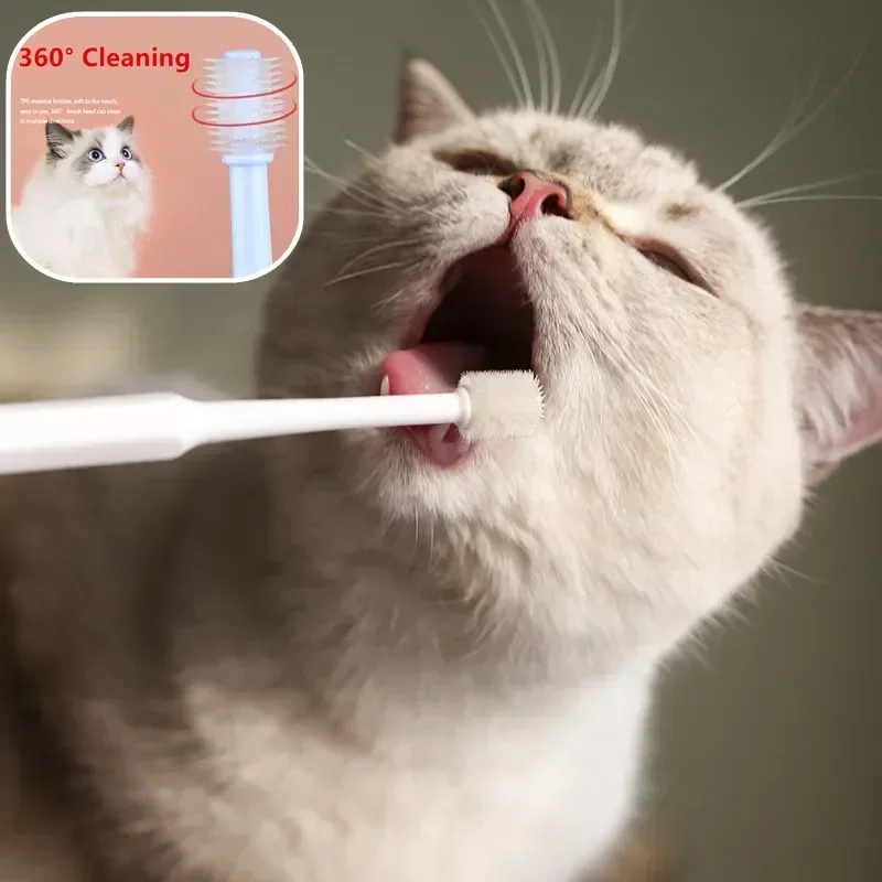 Complete Pet Toothbrush And Toothpaste Kit - Image 3
