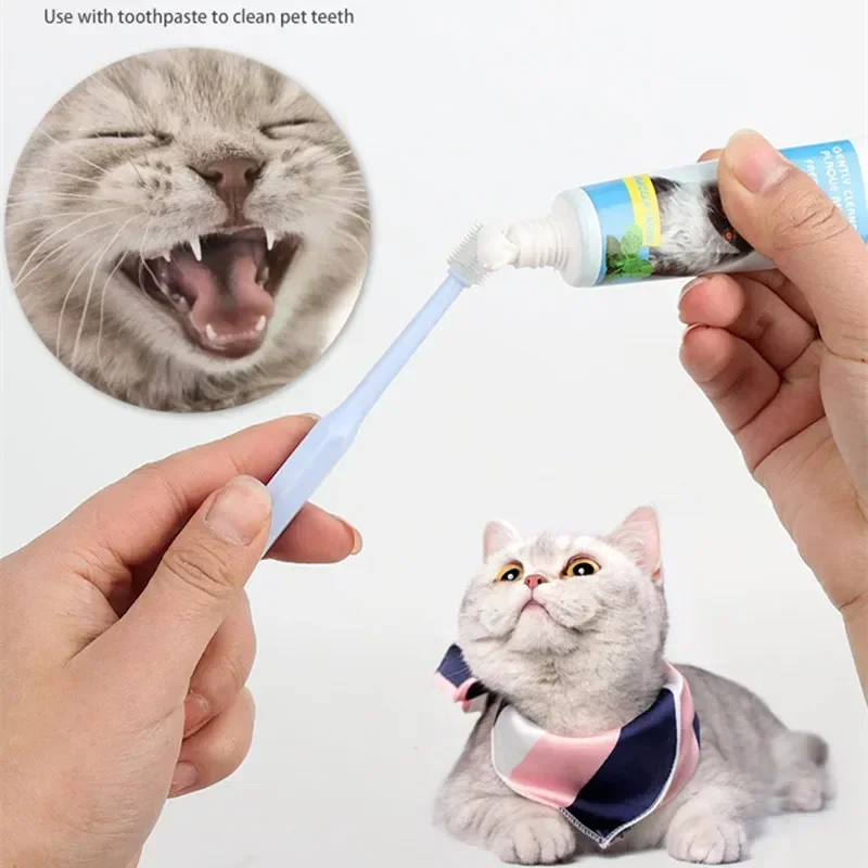 Complete Pet Toothbrush And Toothpaste Kit - Image 9