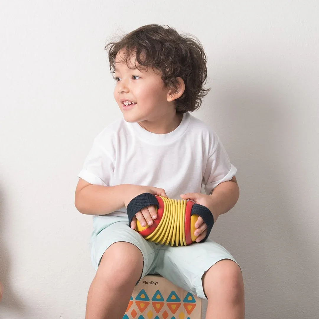 Concertina - Image 3