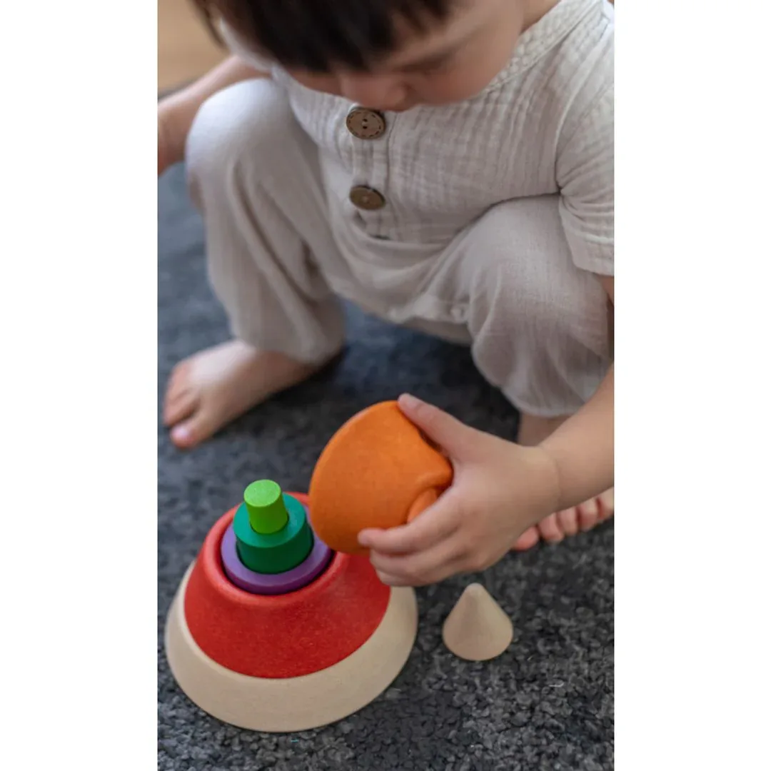 Cone Sorting - Unit Plus - Image 3