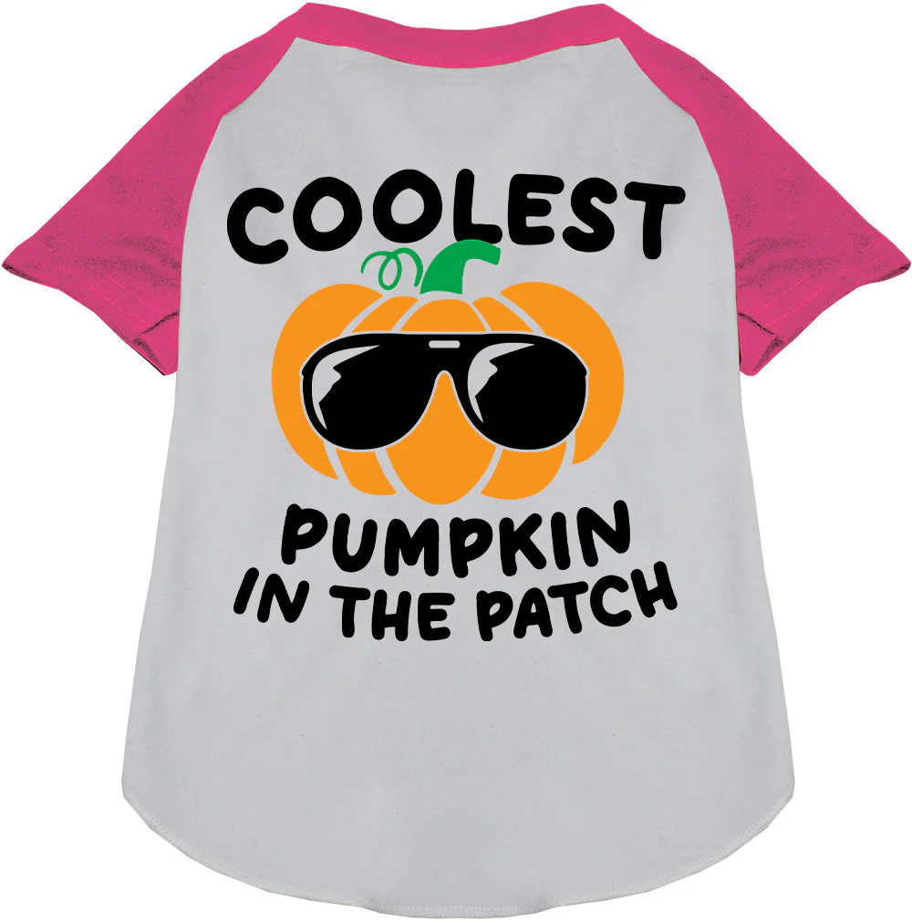 Coolest Pumpkin Pet Raglan Shirt - Image 4