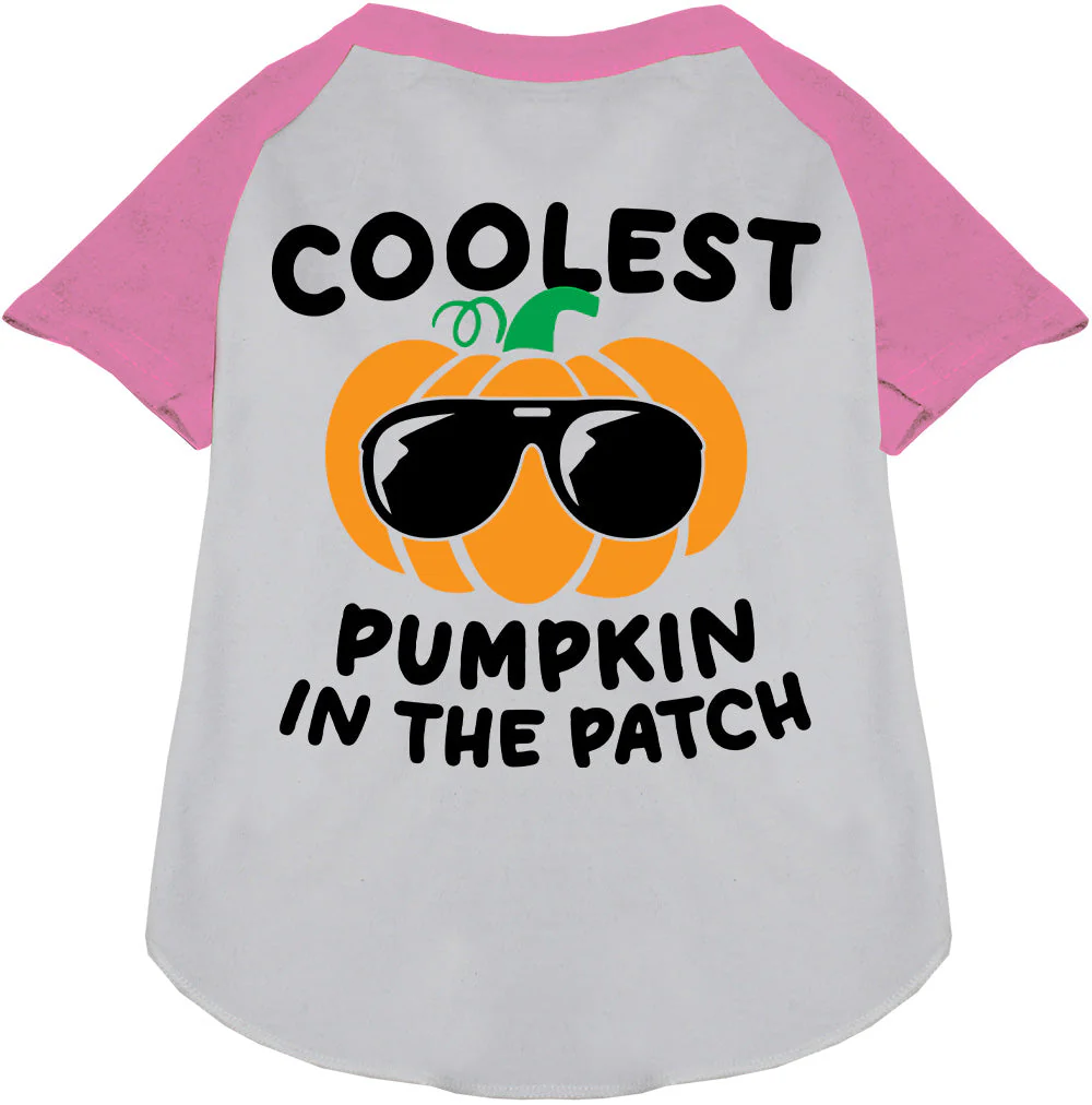 Coolest Pumpkin Pet Raglan Shirt - Image 5