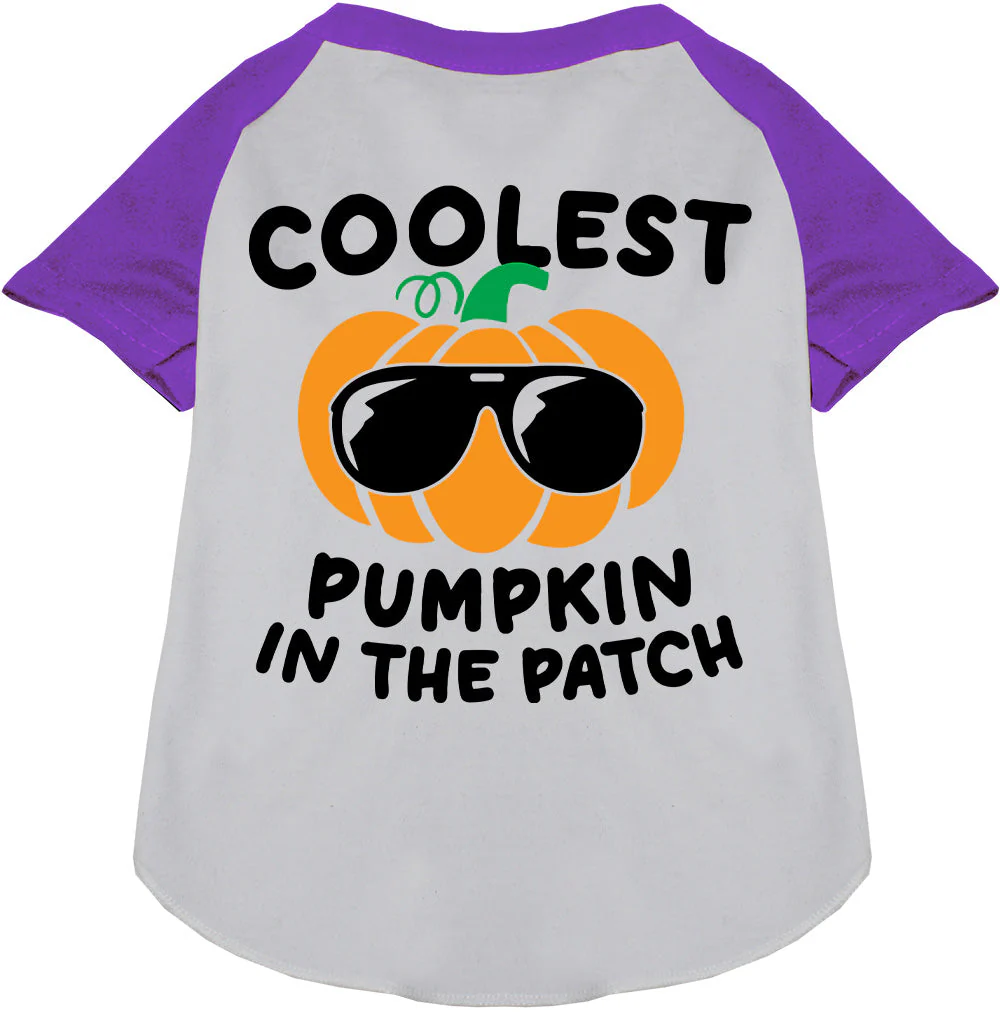 Coolest Pumpkin Pet Raglan Shirt - Image 6