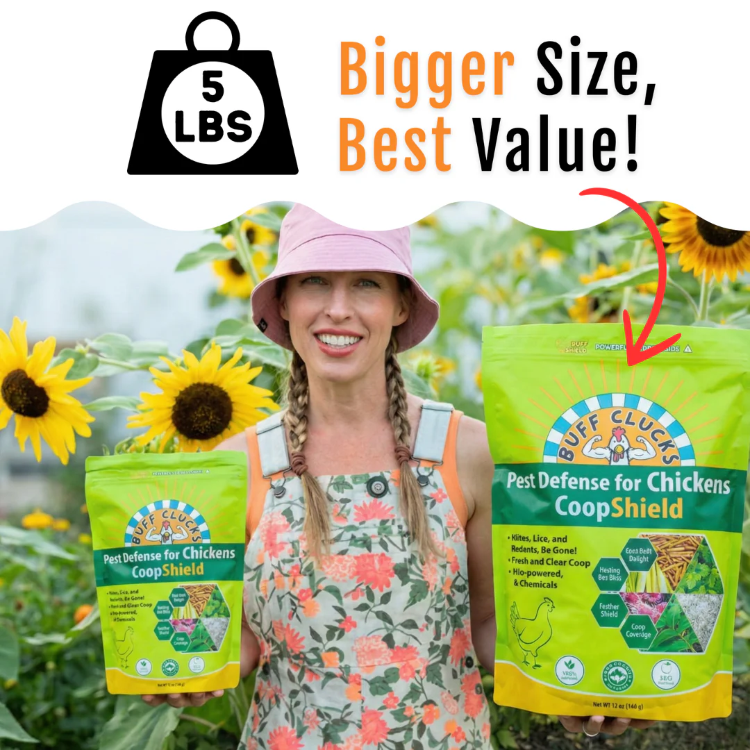 CoopShield—Herbal Pest Defense for Chickens - Image 3
