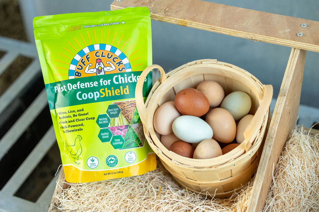 CoopShield—Herbal Pest Defense for Chickens - Image 5
