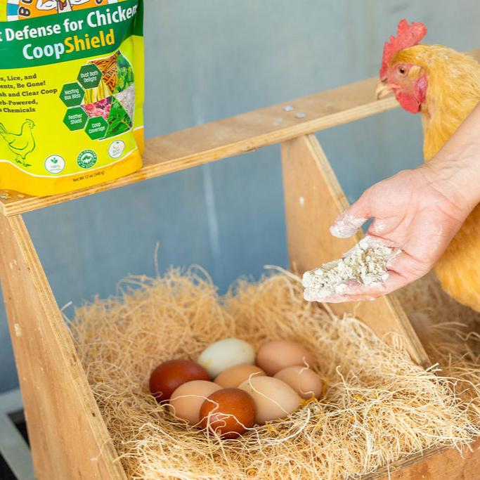 CoopShield—Herbal Pest Defense for Chickens - Image 6