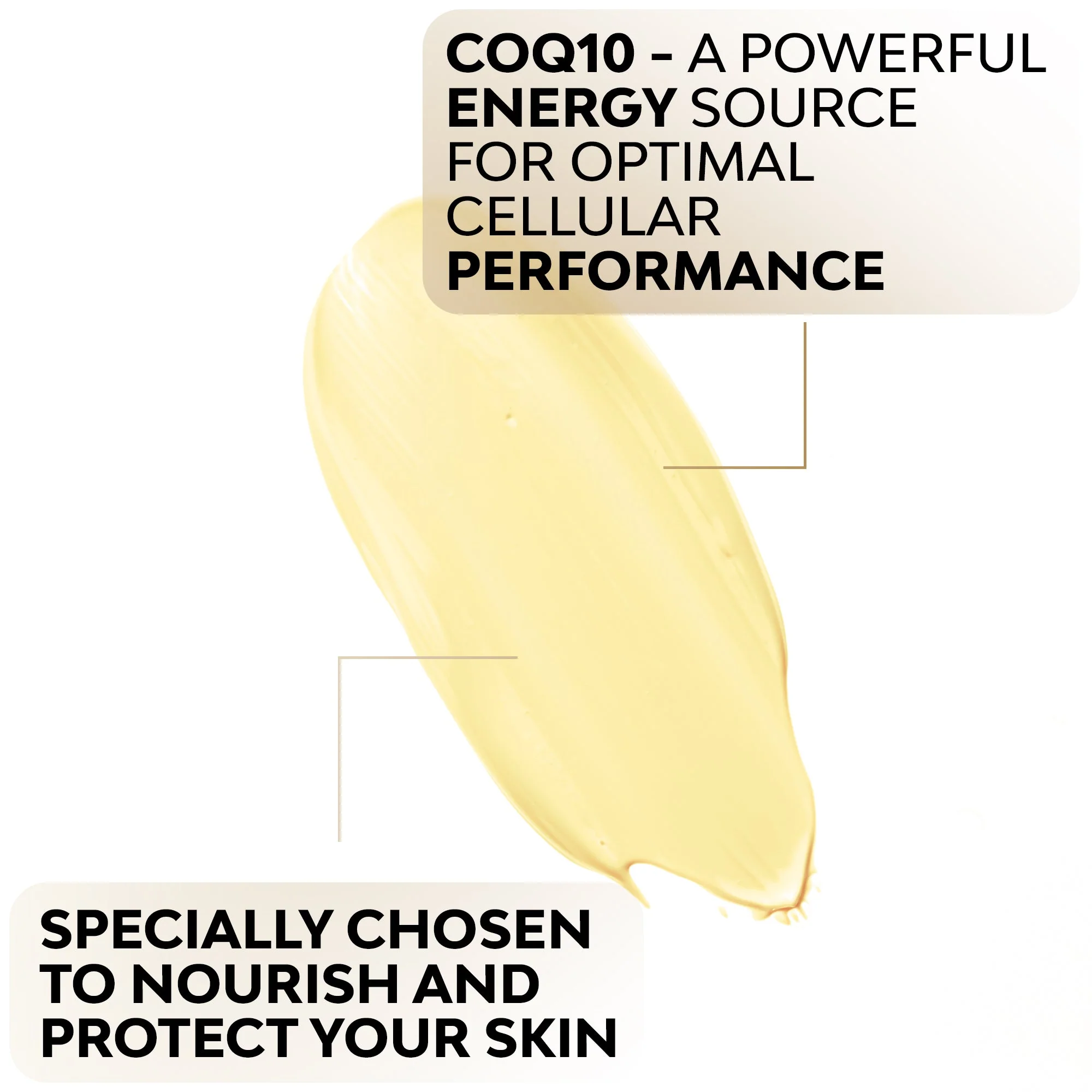 CoQ10 Age Defying Lotion - Image 8