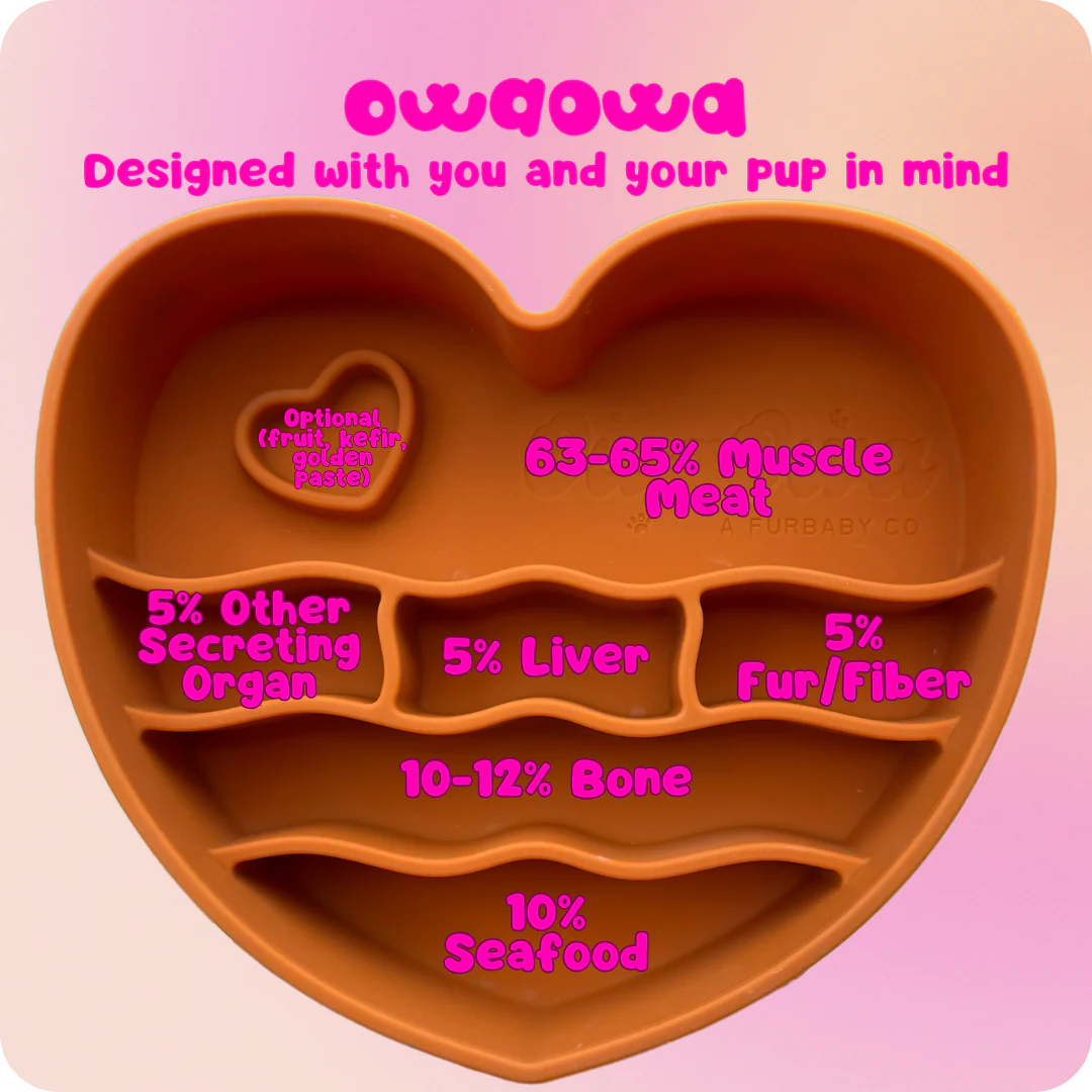 Coraźon ‘Barro’ Silicone Slow bowl Feeder - Image 3