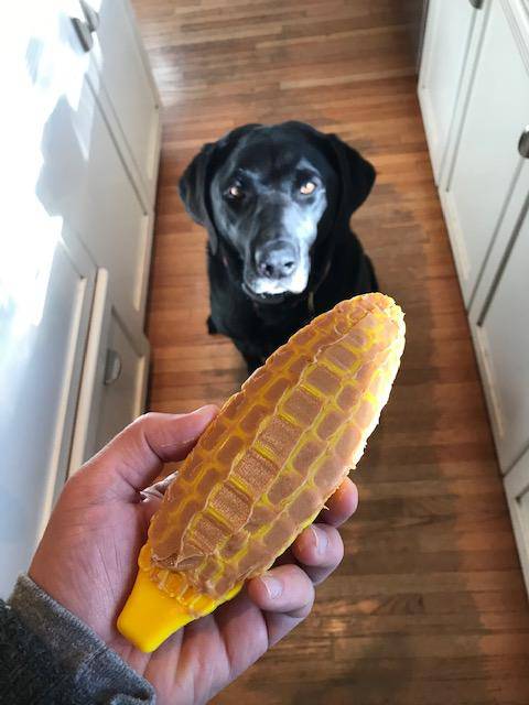 Corn on the Cob Nylon Dog Toy for Aggressive Chewers | USA Made | SodaPup - Image 4